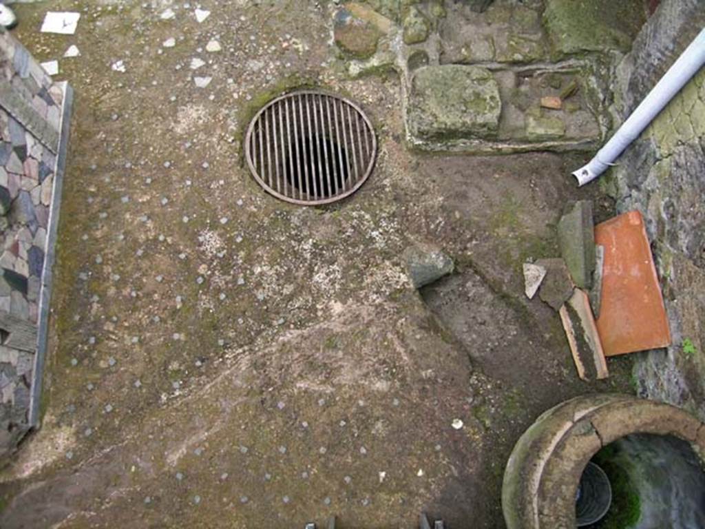 V.10, Herculaneum. May 2005. Detail of floor of shop-room, looking north. Photo courtesy of Nicolas Monteix.